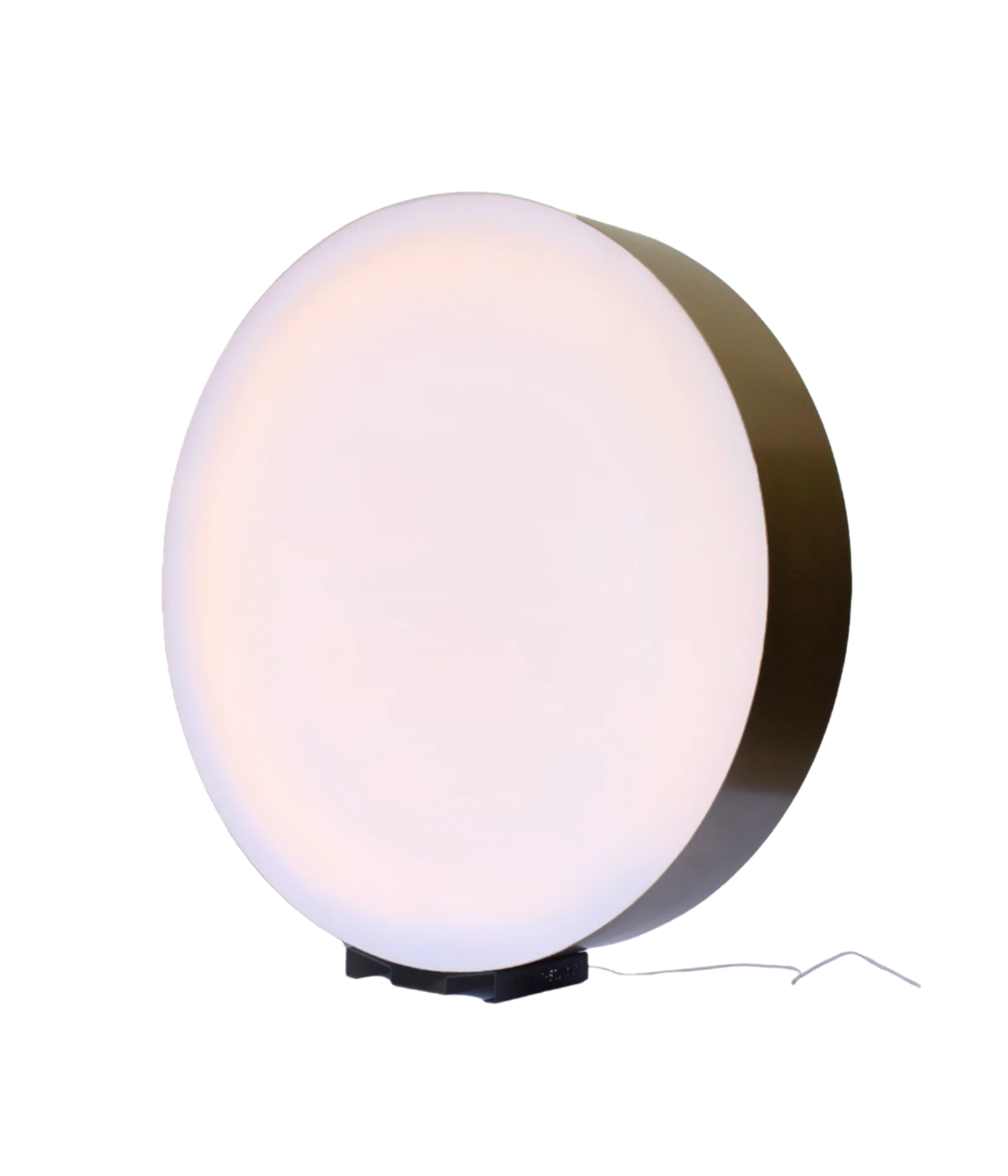 Curiouz_-_2025-04-14T142225.799.png