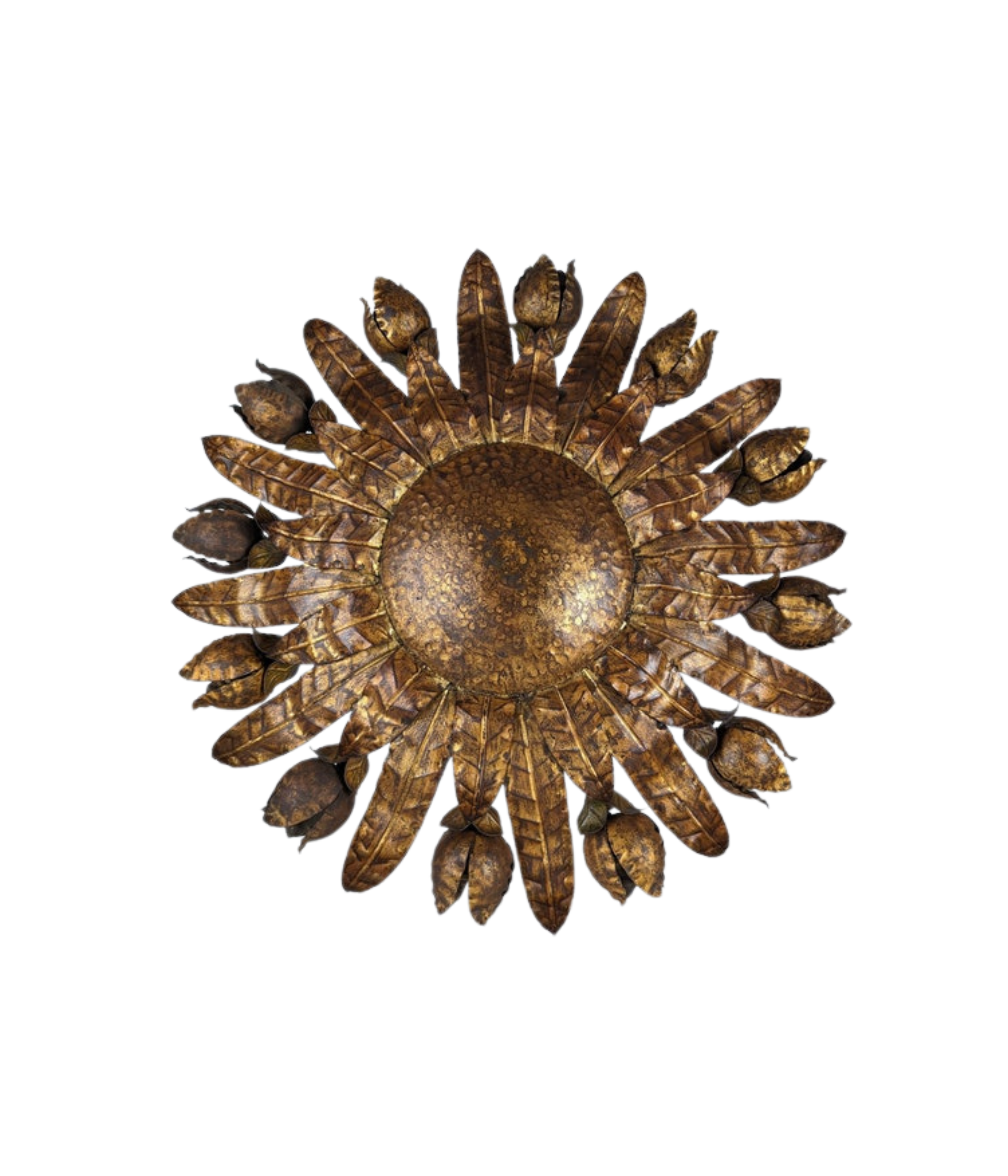 Curiouz_-_2025-09-02T130614.468.png