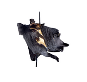 Dementor_Pendant_Lamp