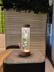 EOS_Rechargeable_Portable_Lamp