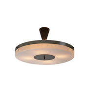 P24_Ceiling_Lamp_Mount_Artiforte