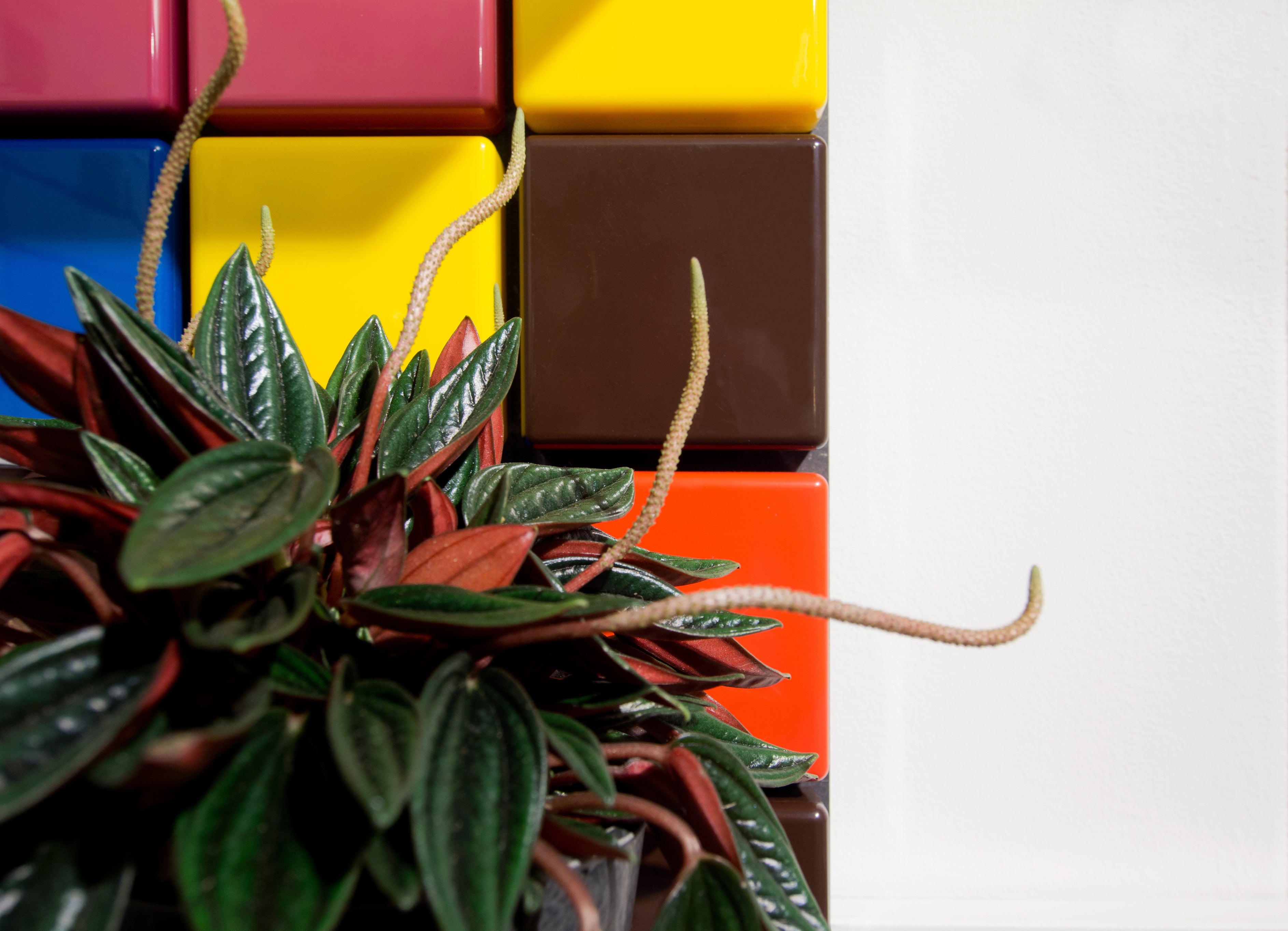 Products_C12_Confetti_Shelf_System