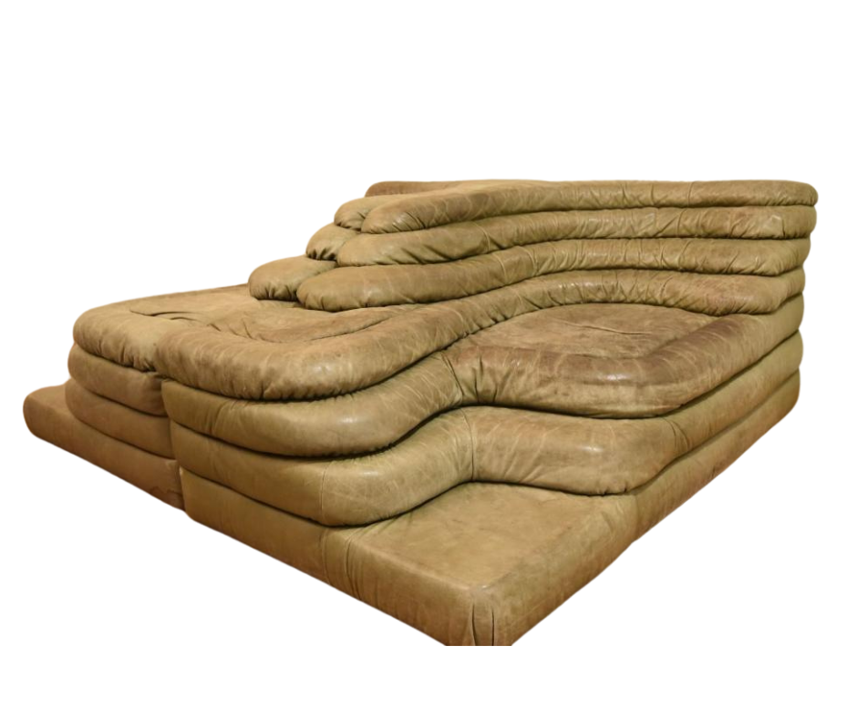 Set_of_2_Terrazza_Sofa_by_Ubald_Klug_for_de_Sede,_1970s