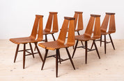 Set_of_6_Chairs_by_Risto_Halme_for_Isku,_Finland,_1960s,_Fully_Restored
