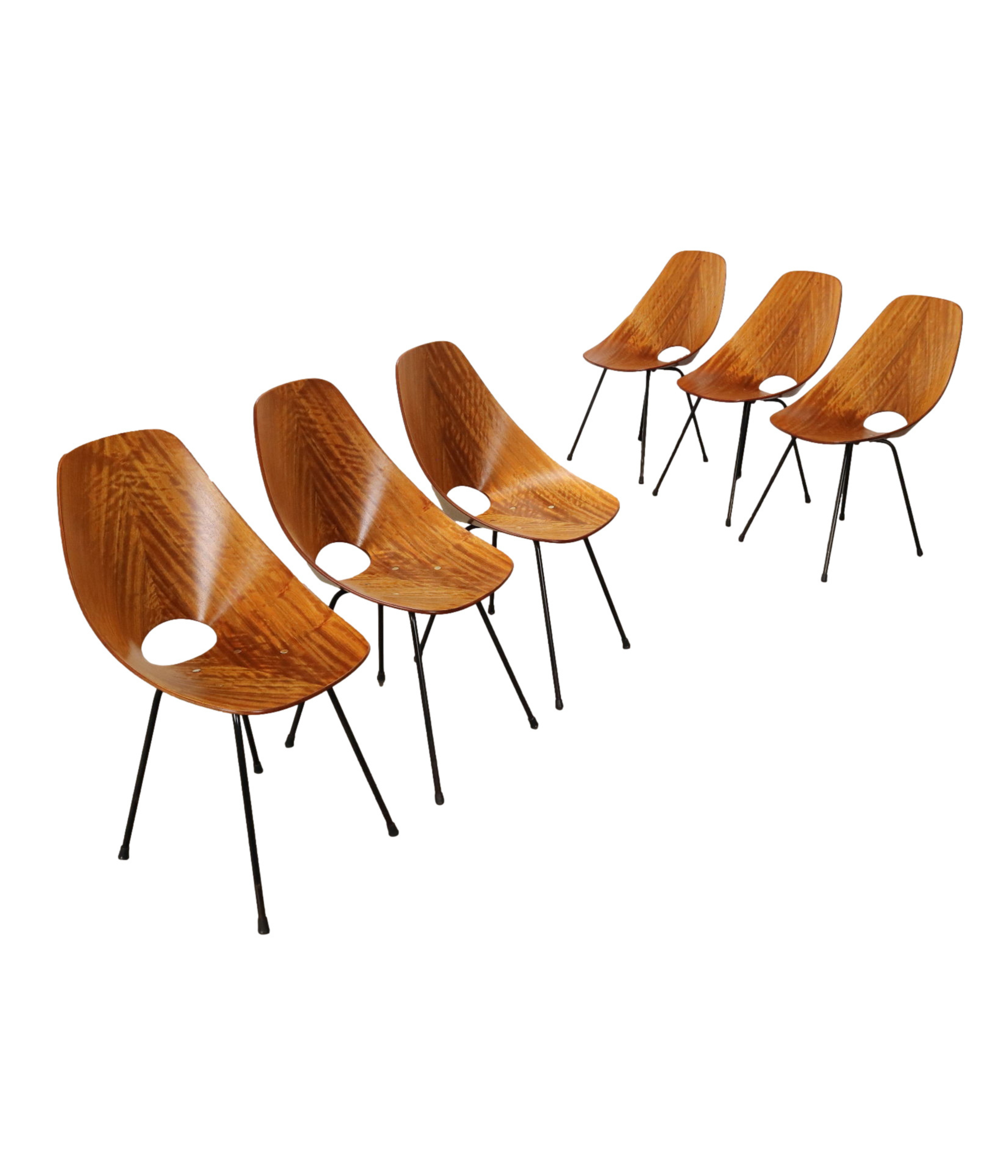 Set_of_6_Medea_Chairs_F.lli_Tagliabue_Design_Vittorio_Nobili_Plywood_1950s