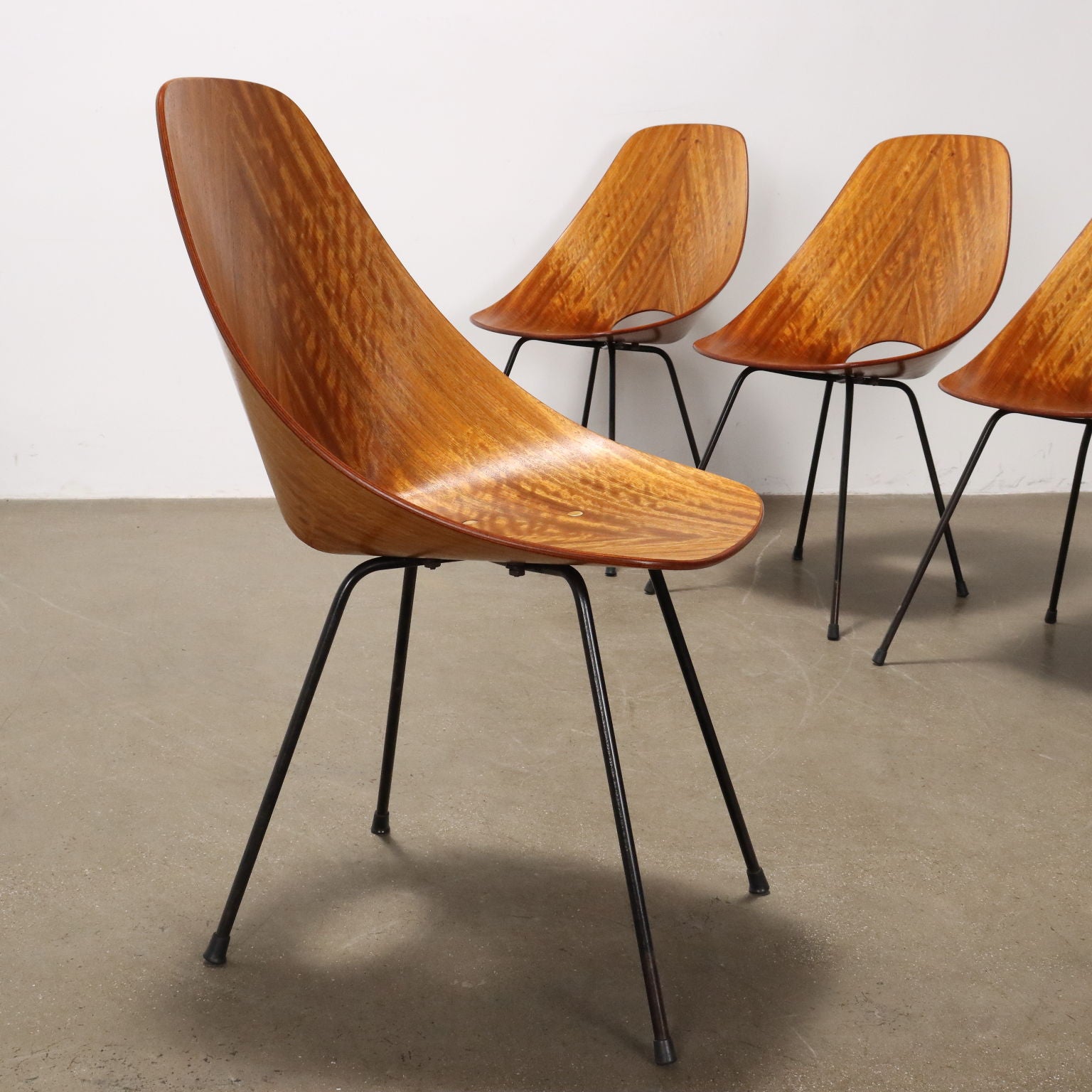 Set_of_6_Medea_Chairs_F.lli_Tagliabue_Design_Vittorio_Nobili_Plywood_1950s