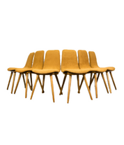 Set_of_6_dining_chairs_A-6150_by_FAMEG_Poland_1960_s