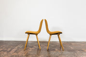 Set_of_6_dining_chairs_A-6150_by_FAMEG_Poland_1960_s