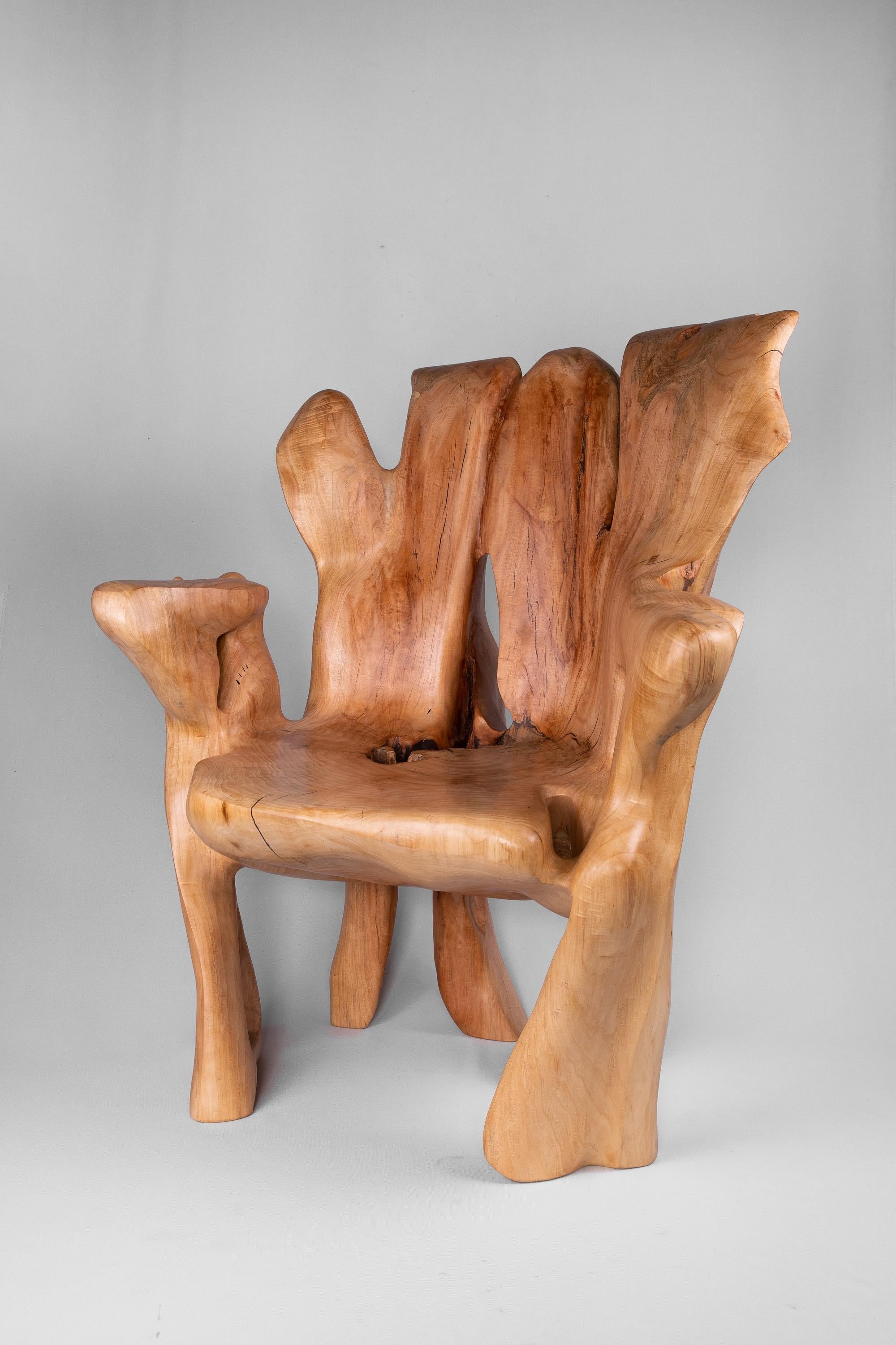 Veles_Wooden_Armchar_Carved_From_Single_Piece_of_Wood