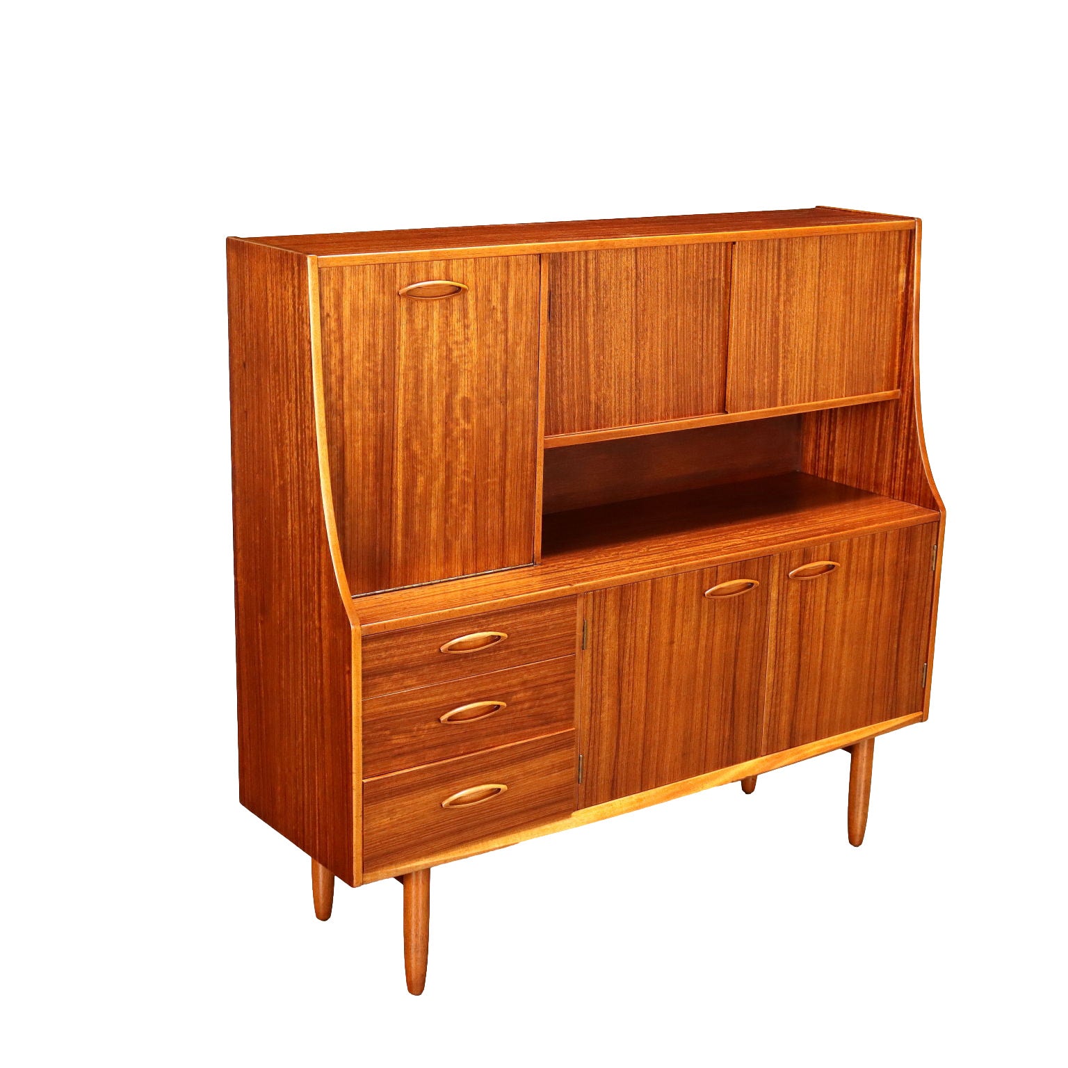 Vintage_Cupboard_Teak_Veneered_Wood_Hinged_Doors_1960s