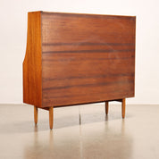 Vintage_Cupboard_Teak_Veneered_Wood_Hinged_Doors_1960s