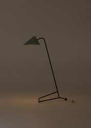 Rare_Floor_Lamp_by_H.Th.J.A._Busquet_for_Hala_Zeist,_Netherlands,_1955