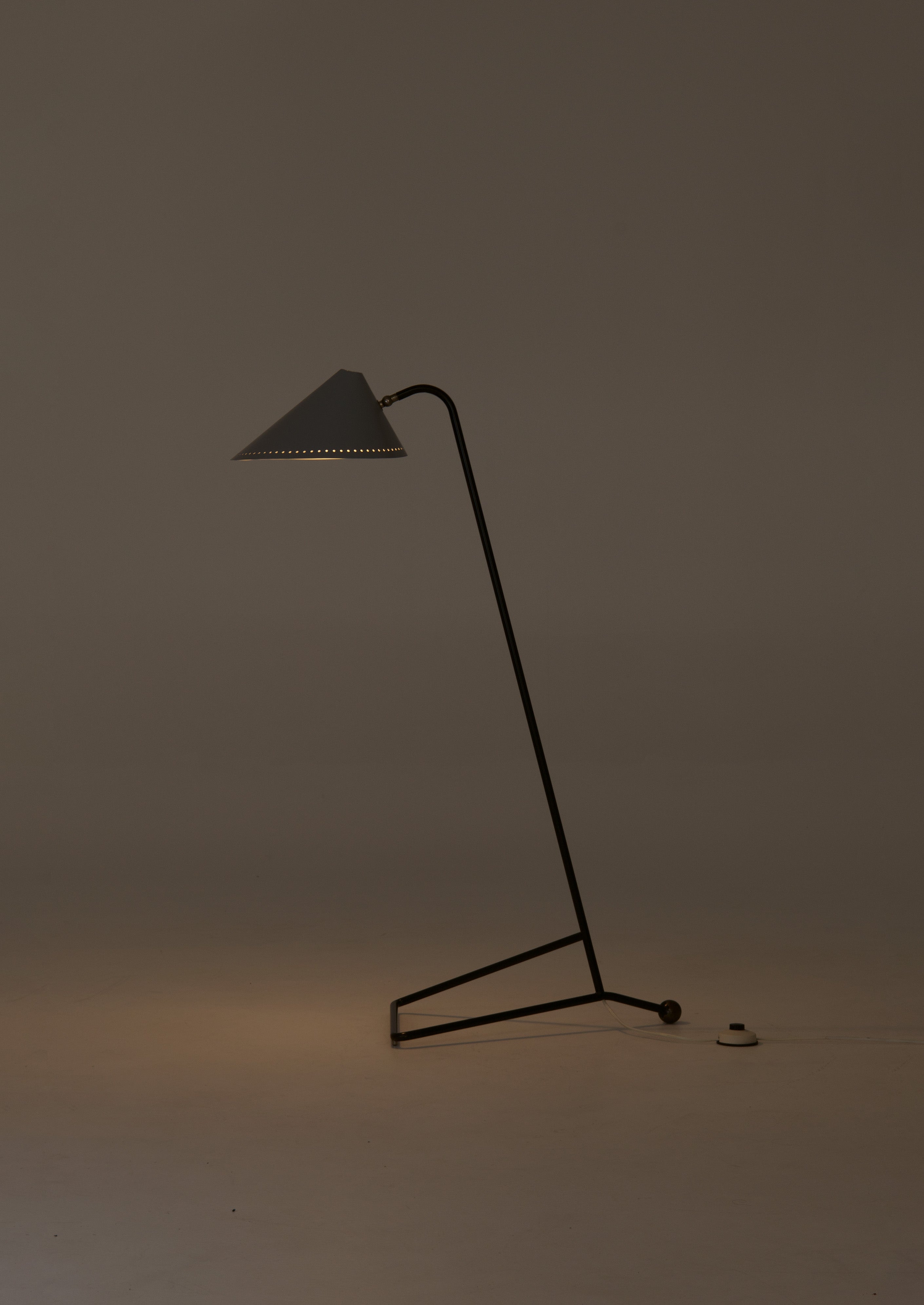 Rare_Floor_Lamp_by_H.Th.J.A._Busquet_for_Hala_Zeist,_Netherlands,_1955