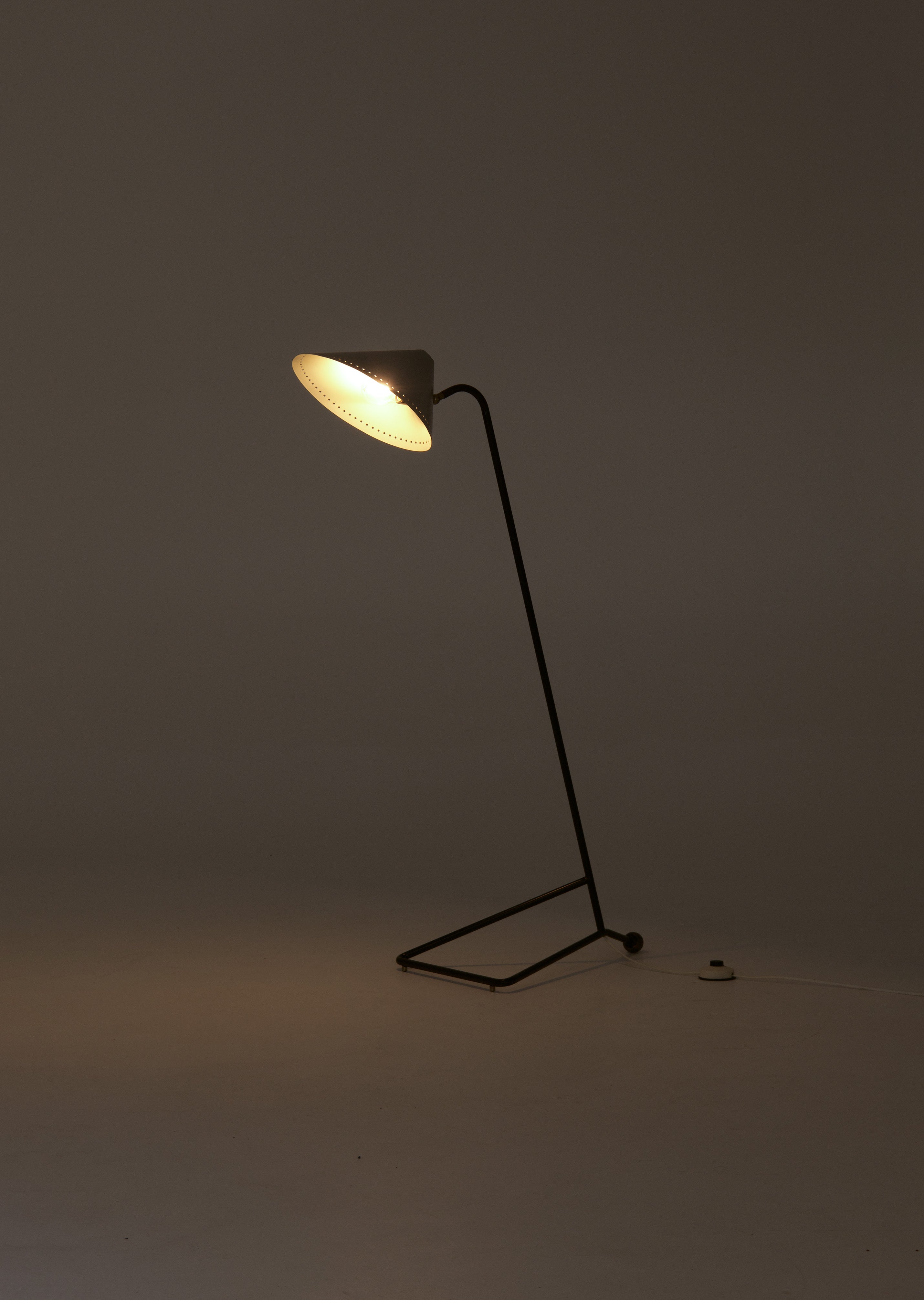 Rare_Floor_Lamp_by_H.Th.J.A._Busquet_for_Hala_Zeist,_Netherlands,_1955