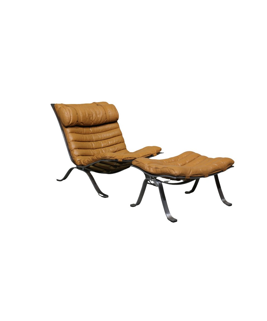 Ari_Armchair_by_Arne_Norell,_1960s,_Sweden