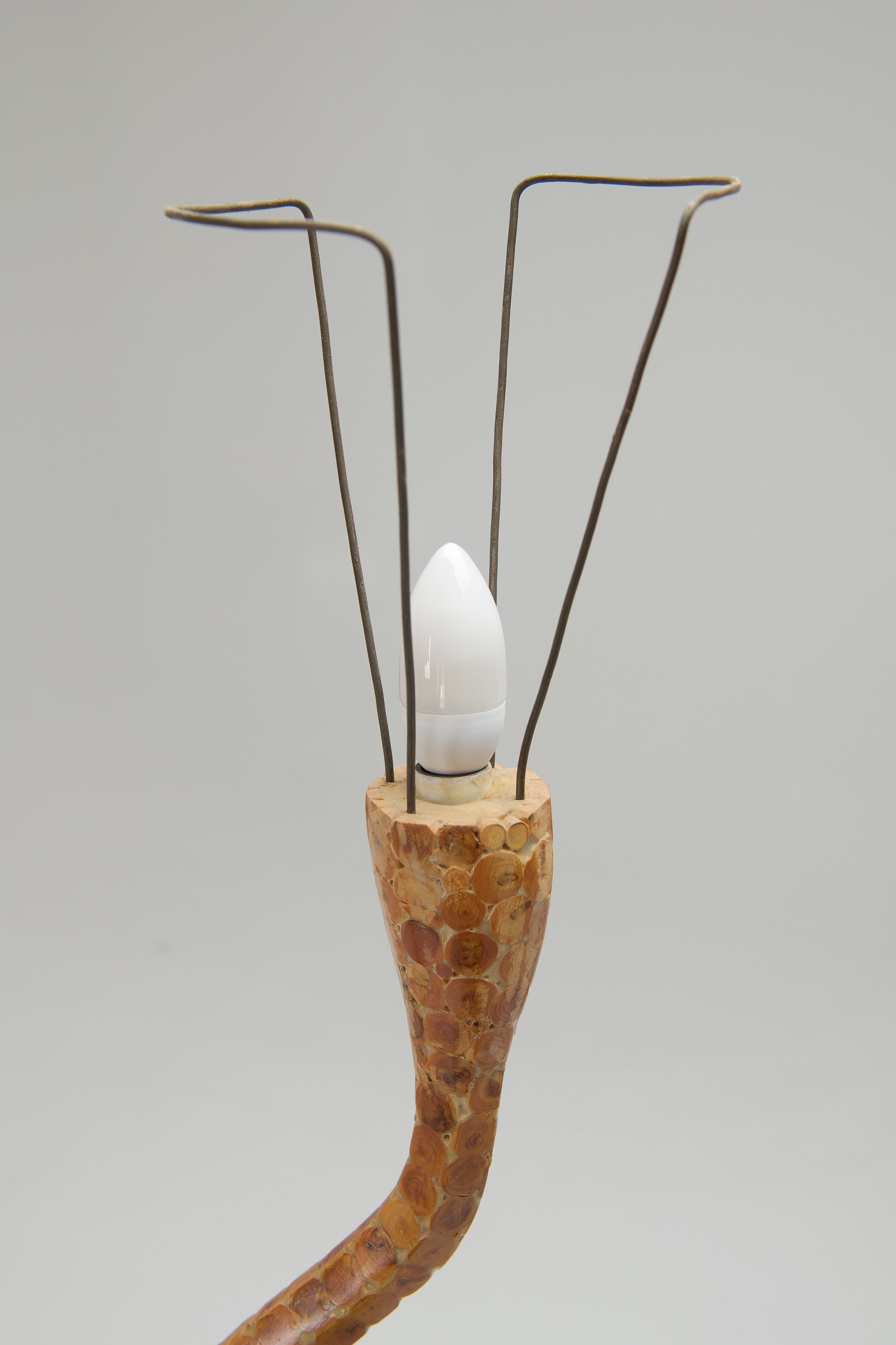 Australian_Sculptural_Floor_Lamp_with_Table