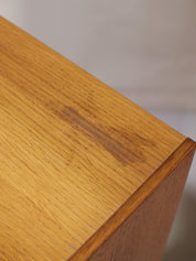 Bookcase_with_doors_Danish_vintage_oak