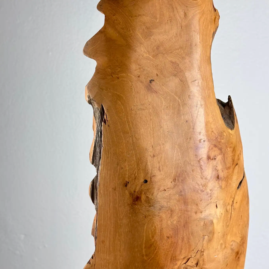 Abstract_Botanical_Sculpture_in_Natural_Ash_Wood,_Italy,_1960s