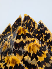 French_Tortoiseshell-Effect_Resin_Table_Lamp_in_the_Style_of_Maison_Jansen,_1970s