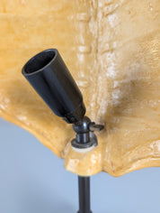French_Tortoiseshell-Effect_Resin_Table_Lamp_in_the_Style_of_Maison_Jansen,_1970s
