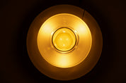 'Flora'_Vase_and_Lamp_by_Carlo_Nason_for_Linea_GB