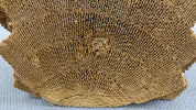 Little_Beaver_Lounge_Chair_by_Frank_O._Gehry_for_Vitra_in_Corrugated_Cardboard