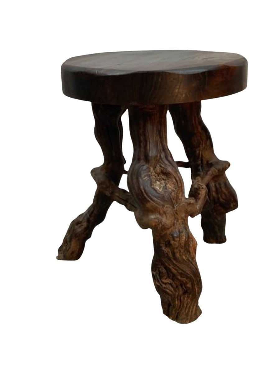 French_Grapevine_Root_Stool,_1950s