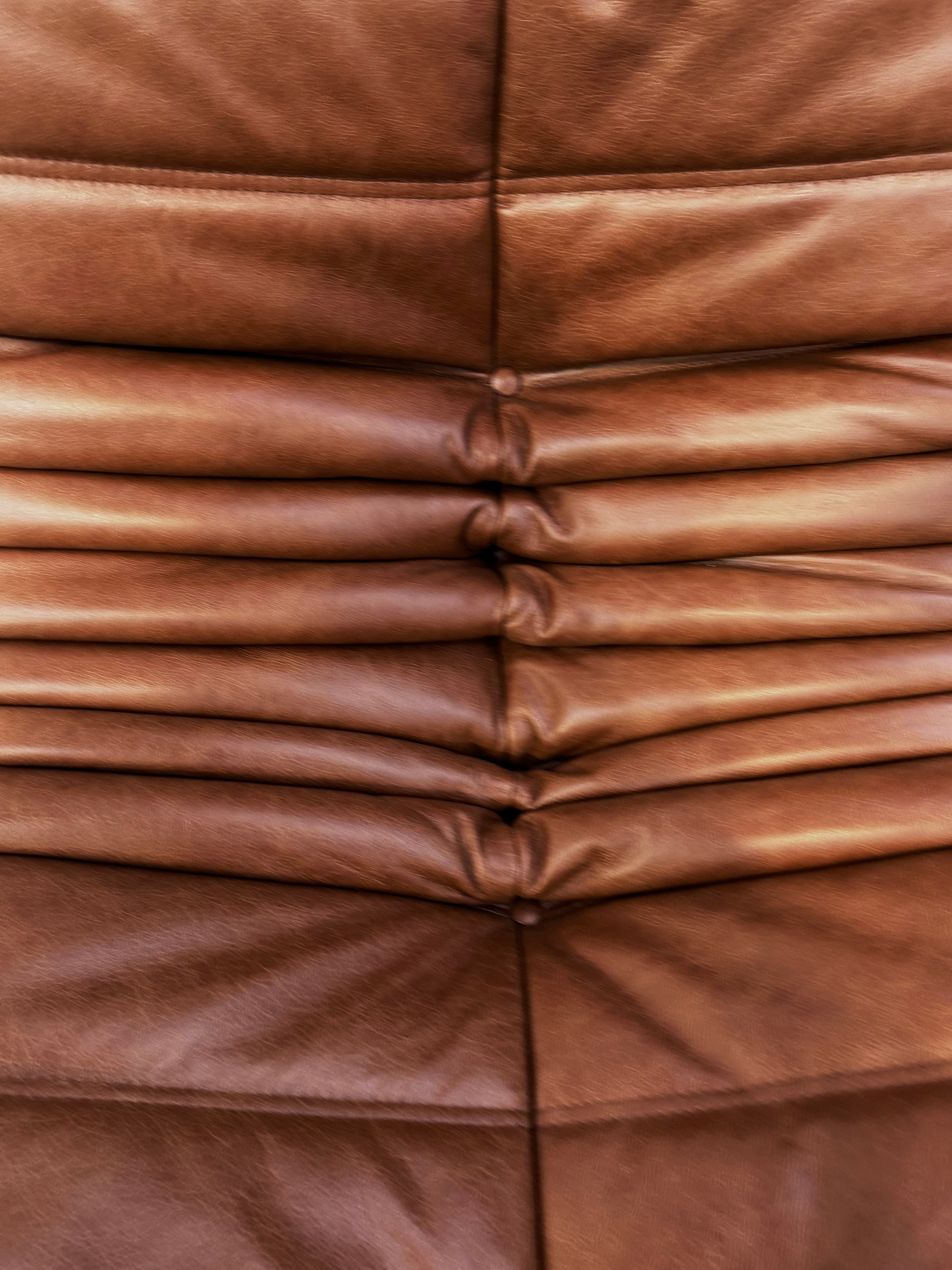 Michel_Ducaroy_Togo_Lounge_Chair_for_Ligne_Roset_in_Leather,_Fully_Reupholstered,_France,_1970s