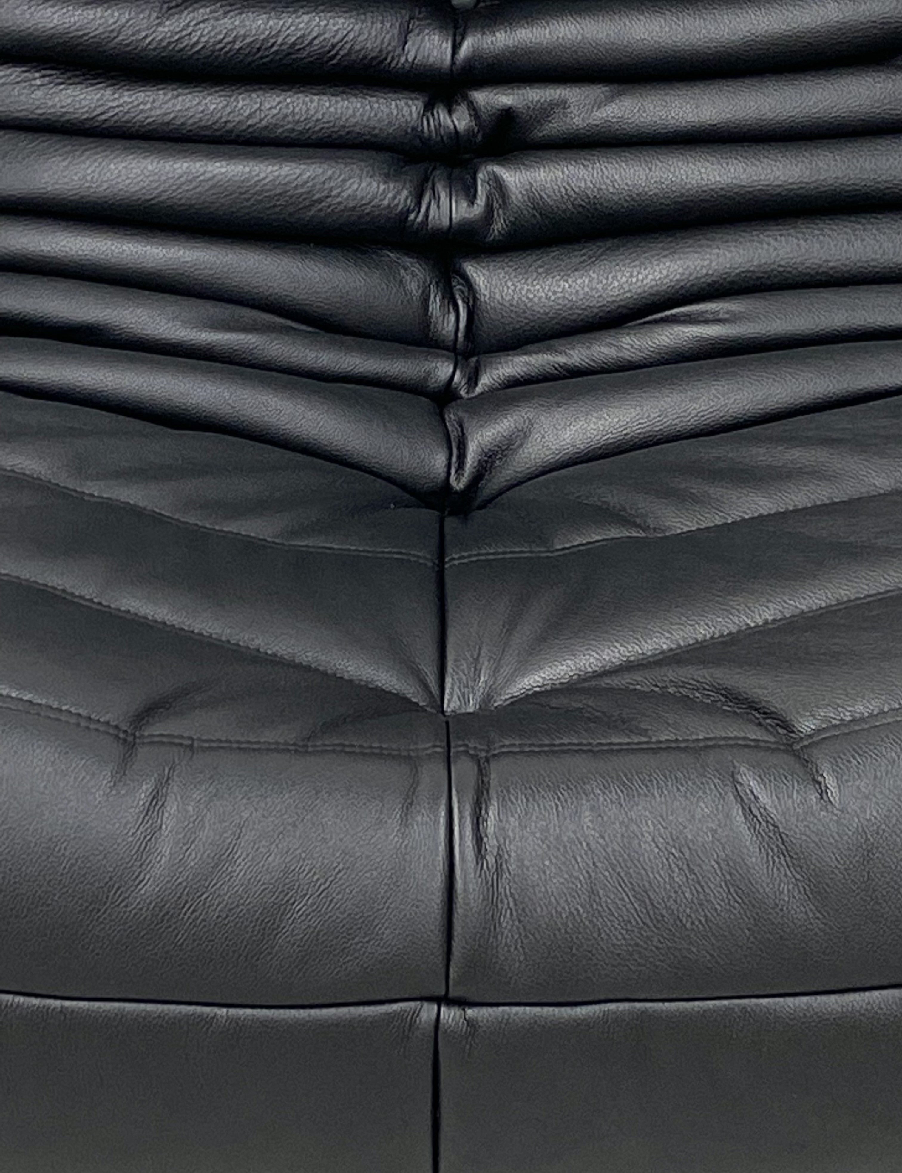 Set_of_2_Togo_Lounge_Chairs_by_Michel_Ducaroy_for_Ligne_Roset,_Restored_Leather_Upholstery,_1973_Design