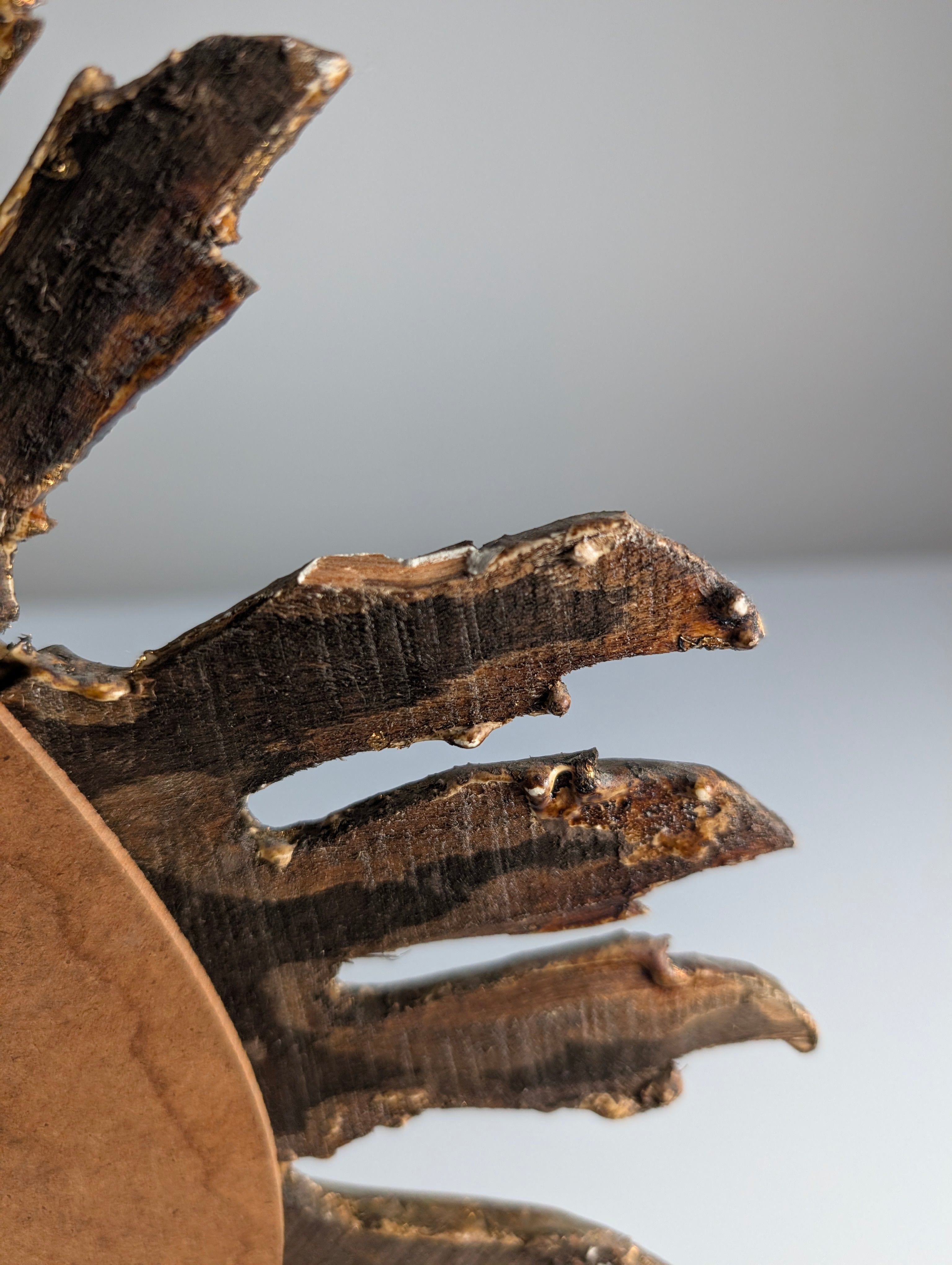 Giltwood_Sunburst_Mirror,_1960s