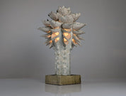 Glazed_Ceramic_Sculpture_Lamp_by_Birthe_Aksby,_Denmark,_1970s