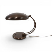 Hillebrand_Adjustable_Double_Arm_Table_Lamp_in_Bronze_Finish,_Germany_1960s