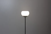 Vintage_Italian_Chrome_Floor_Lamp_Attributed_to_Guzzini,_1970s_Space_Age_White_Dome_Lamp