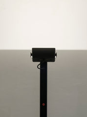 Set_of_2_Kazuhide_Takahama_“Sirio_T”_floor_lamps_for_Sirrah,_1970s