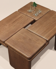 Handcrafted_Solid_Ash_Sculptural_Coffee_Table