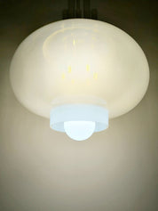Lampadario_tubolare_attribuito_a_Mazzega_1960_Italia