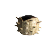 20th-Century_Sculptural_Stoneware_Chestnut_Burr_Object_in_Contrasting_Glazes