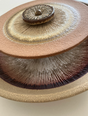 Stoneware_wall_lamp_by_Noomi_Backhausen_&_Poul_Brandborg_for_Søholm_Stentøj,_Denmark,_1970s