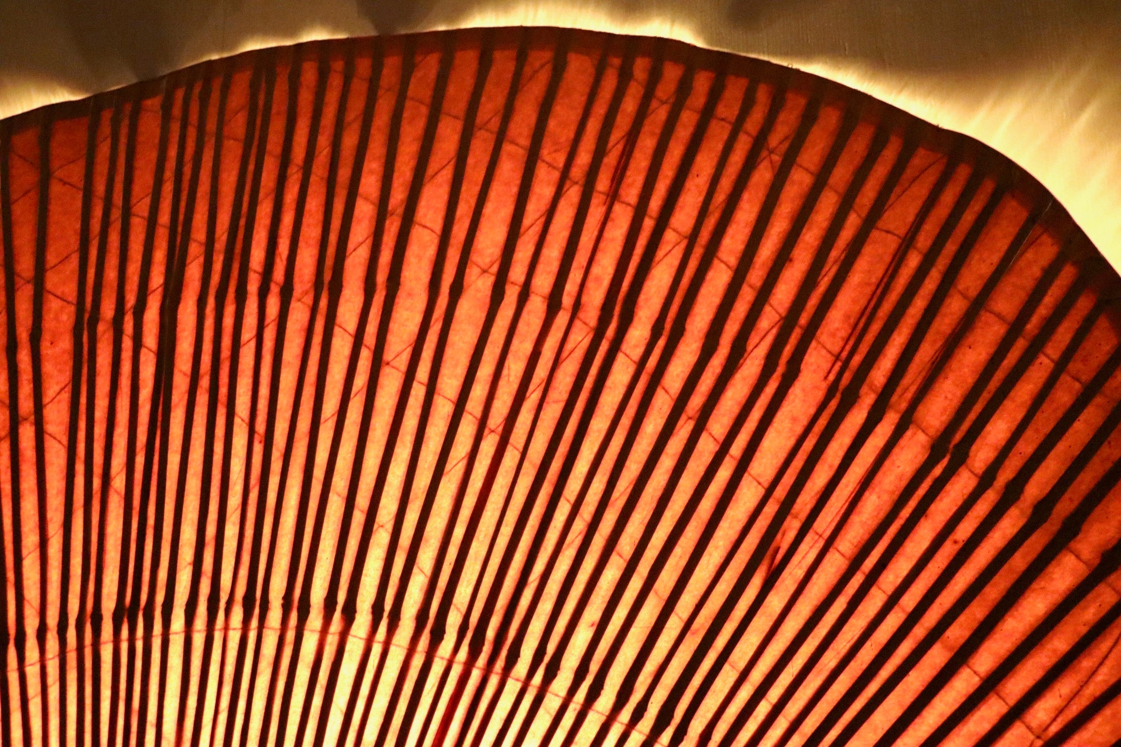 Large_Uchiwa_Floor_lamp_by_Ingo_Maurer_for_M_Design,_Germany_1977