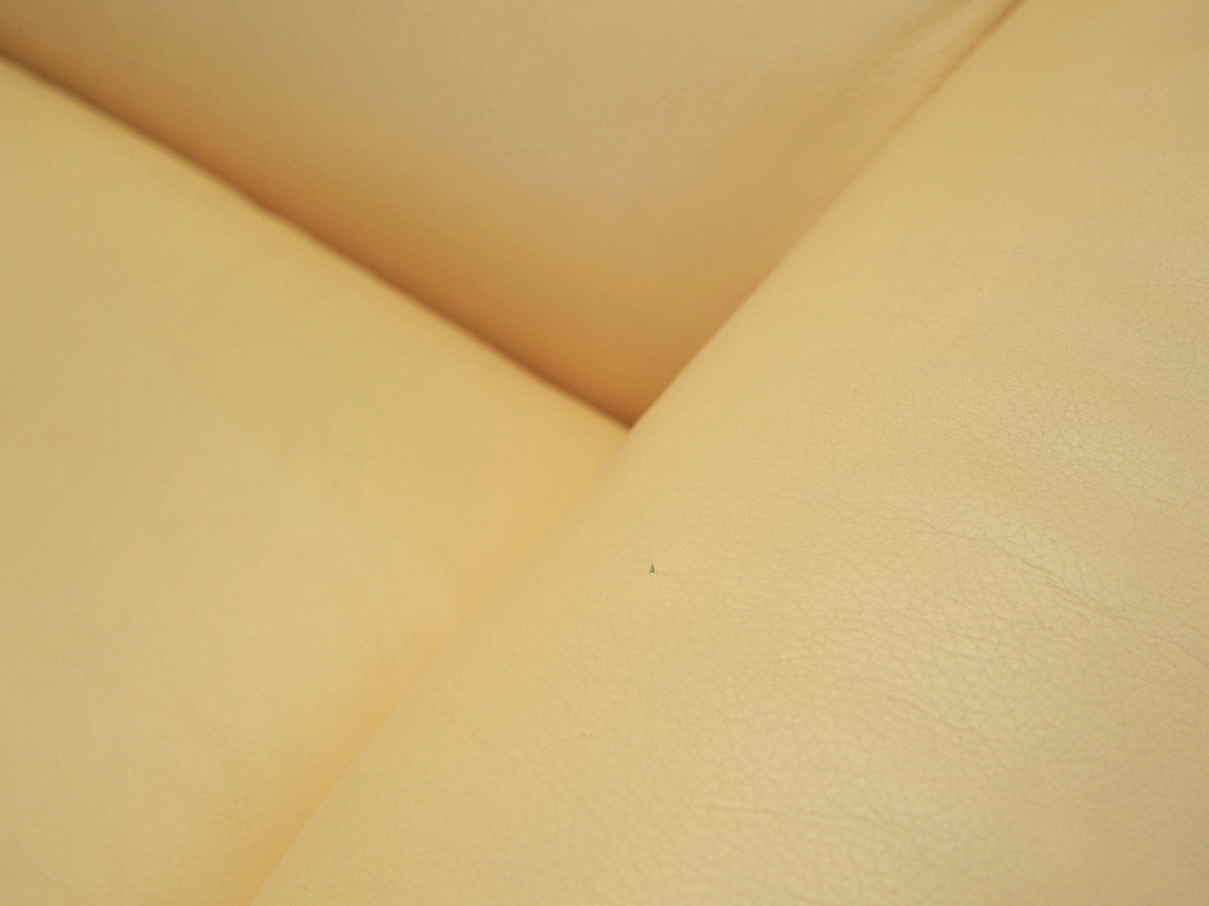 Leather_Sofa,_Original_Leather,_1960s,_Italy