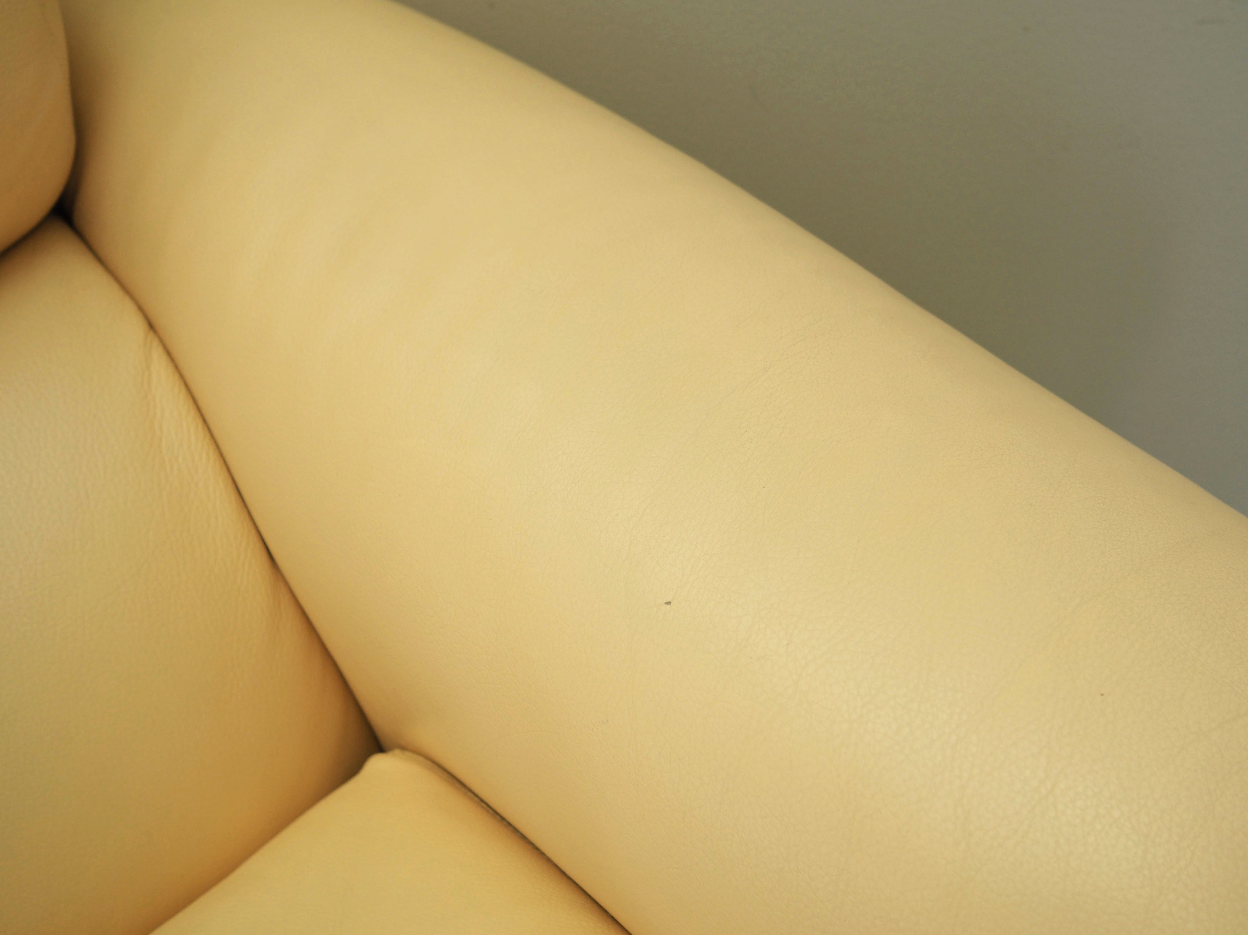 Leather_Sofa,_Original_Leather,_1960s,_Italy