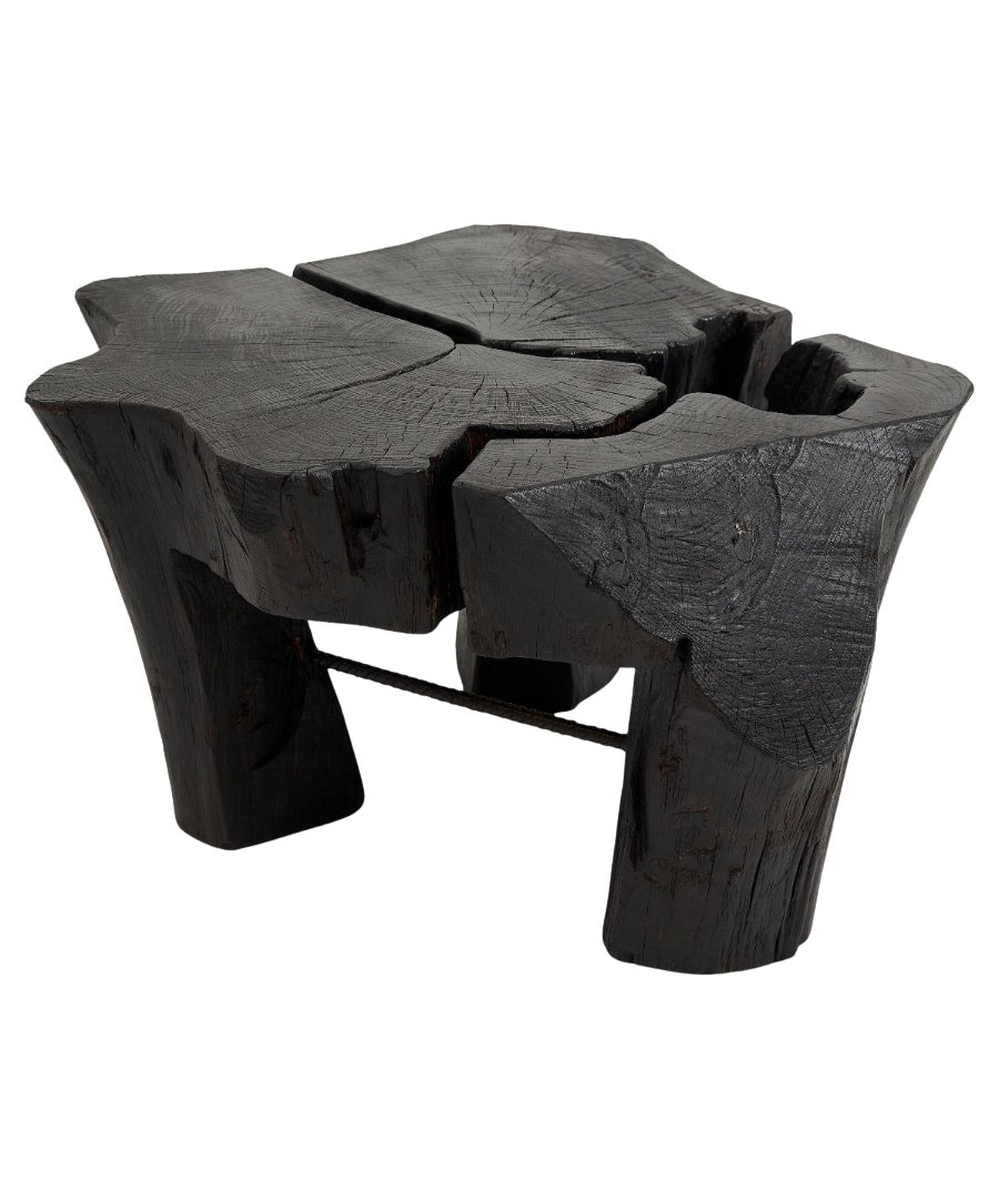 Logniture,_Rustic_Sculptural_Coffee_Table,_Burnt_Black_Oak_Wood