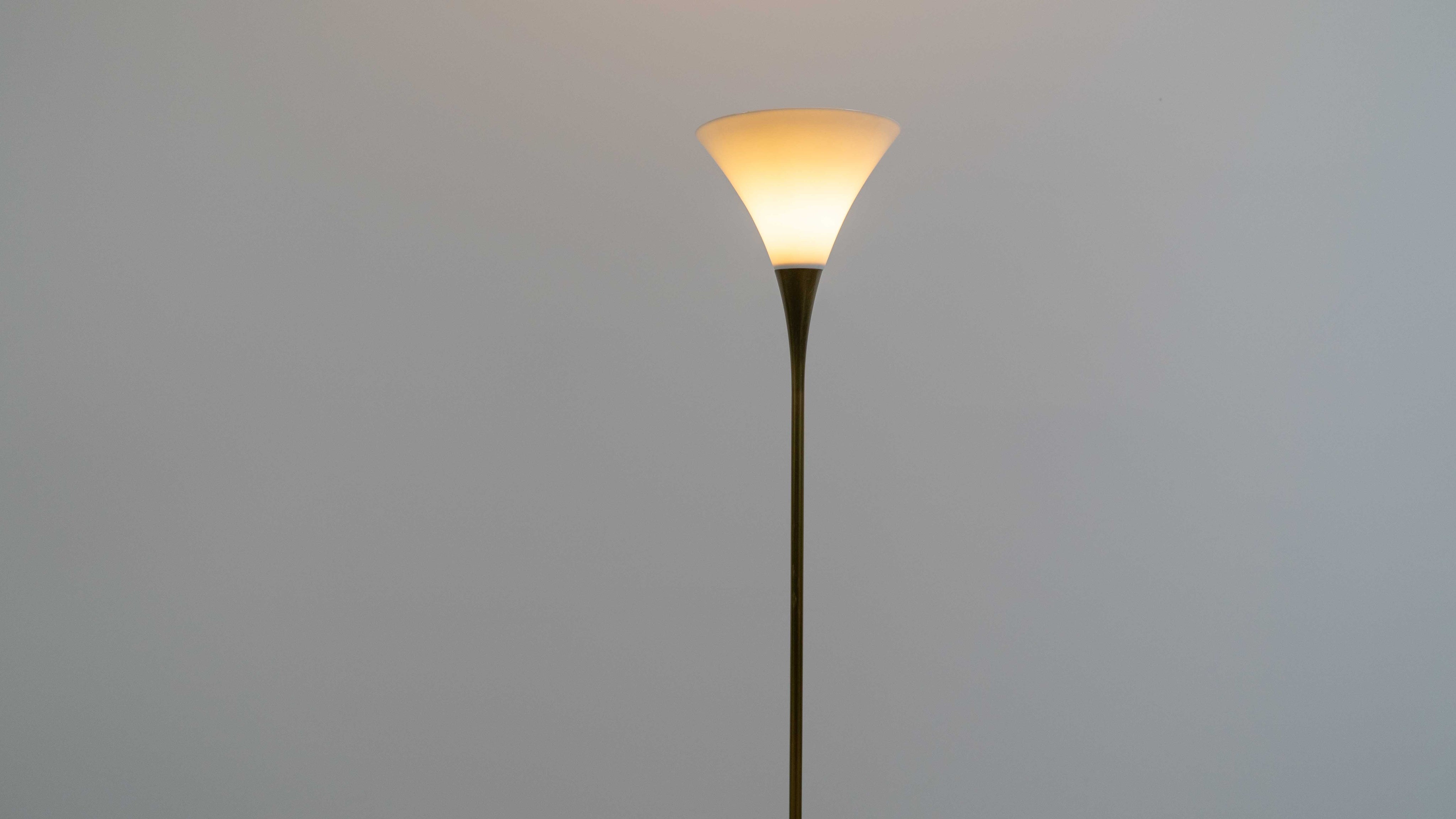 Florian_Schulz_Lonea_Brass_Floor_Lamp_with_Opal_Glass_Shade