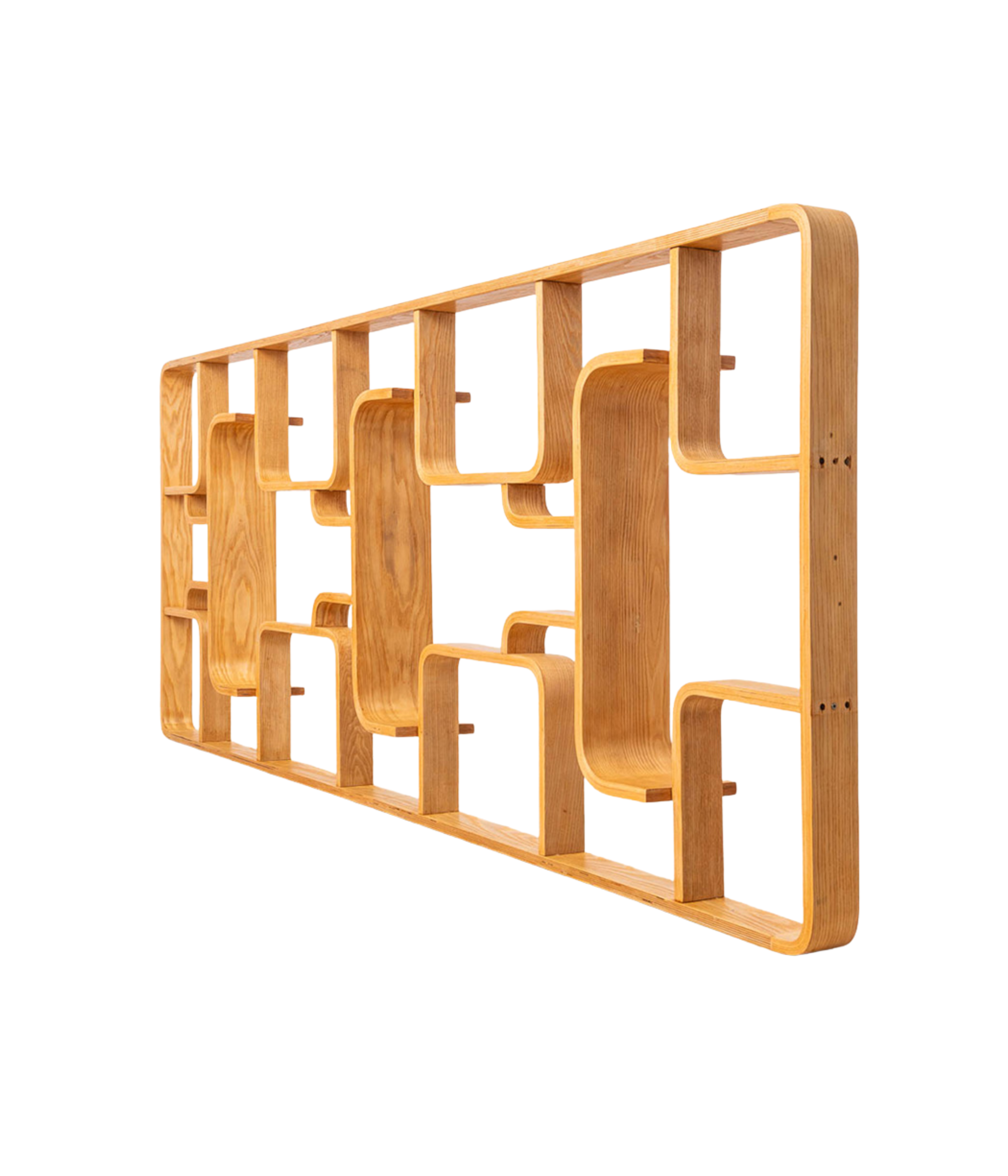 Ludvik_Volak_Ash_Veneer_Wall_Unit_for_Drevopodnik_Holesov,_1960s
