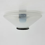 Mid-Century_Glass_and_Plastic_Ceiling_Lamp