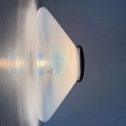 Mid-Century_Glass_and_Plastic_Ceiling_Lamp