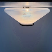 Mid-Century_Glass_and_Plastic_Ceiling_Lamp