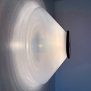 Mid-Century_Glass_and_Plastic_Ceiling_Lamp