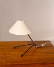 Mid_Century_Pinocchio_Desk_Lamp_in_the_style_of_Hala_Zeist