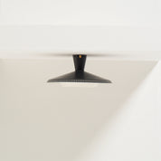 Philips_NB_93_Flush_Mount_Ceiling_Lamp_in_Mocca_Brown,_1950s